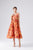 Printed Large Swing Mid Length Dress Photo Holiday Dress